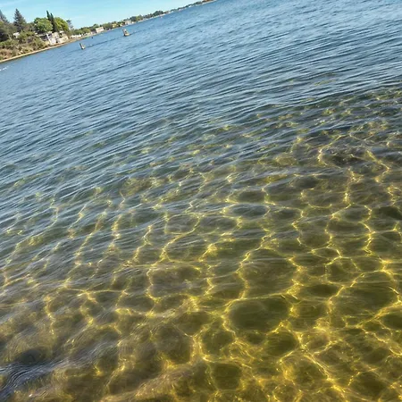 Luxury Seaside With Jacuzzi And Sauna - 10 Gardens - & Relax Croatia 펜션 프리블라카