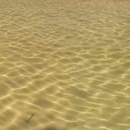 Luxury Seaside With Jacuzzi And Sauna - 10 Gardens - & Relax Croatia 프리블라카