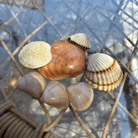 Luxury Seaside With Jacuzzi And Sauna - 10 Gardens - & Relax Croatia * 프리블라카