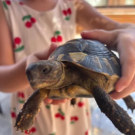 Luxury Seaside With Jacuzzi And Sauna - 10 Gardens - & Relax Croatia 프리블라카